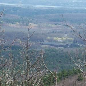 Meet your Posher, Reba